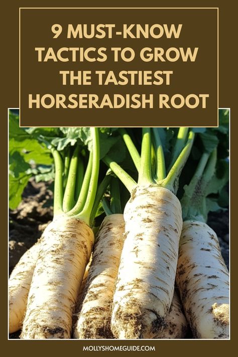 Discover the secrets of growing horseradish root in your own garden with our comprehensive guide! Learn how to cultivate this flavorful and versatile plant with tips on planting, care, and harvesting. Whether you're a seasoned gardener or just starting out, our expert advice can help you successfully grow horseradish root at home. From choosing the right location to dealing with common pests and diseases, we've got you covered every step of the way. Growing Horseradish Plants, Harvesting Horseradish, Grow Horseradish, Garden Placement, Allotment Planning, Horseradish Plant, Growing Horseradish, Gardening Therapy, Horse Radish