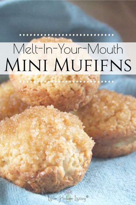 Looking for a simple little muffin recipe that is great for a quick breakfast or to pack along with a lunch? These Melt in Your Mouth Mini Muffins are fun and easy to make! Cupcake Pan Recipes, Cupcake Maker Recipes, Mini Breakfast Muffins, Mini Muffin Tin Recipes, Mini Muffin Recipe, Mini Breakfast, Cupcake Maker, Muffin Tin Recipes, Homemade Muffins