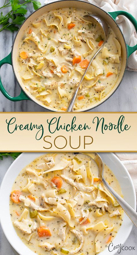 creamy chicken noodle soup Chicken Noodle Soup With Biscuits, Chicken Egg Noodle Soup Instant Pot, Easy Fast Chicken Noodle Soup, Dutch Oven Creamy Chicken Noodle Soup, Chicken Noodle Soup Spaghetti Noodles, Chicken Noodle Soup With Reams Noodles, Leftover Chicken Noodle Soup Ideas, Chicken Noodle Soup With Vegetables, Rotisserie Chicken Noodle Soup Crockpot