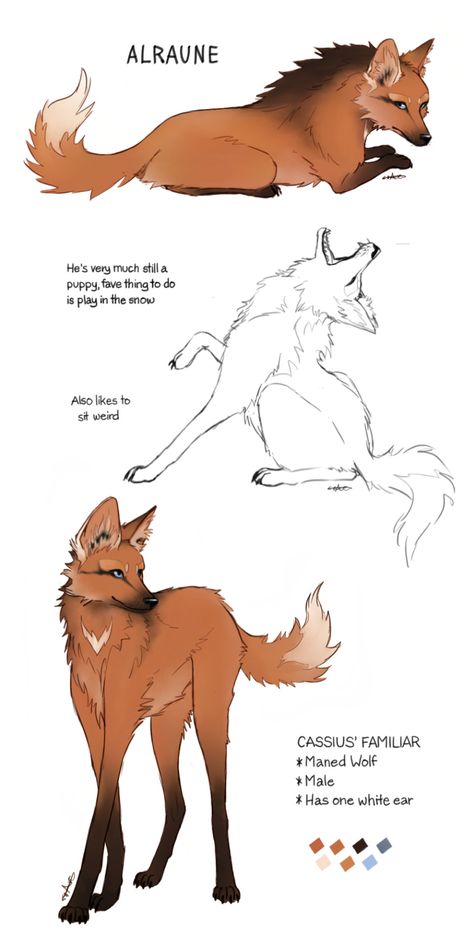 Tail Drawing Reference Wolf, Wolf Art Reference Poses, Canine Art Dog, Wolf Design Character, Animal Mixes Drawing, Wooly Mammoth Drawing, Wolf Human Hybrid Male, Maned Wolf Oc, Therian Drawing Base Human