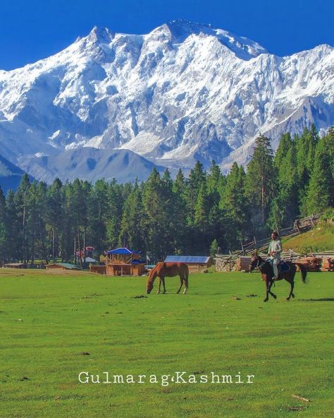 Pahadi Wallpapers, Kashmir Photos, Kashmir Trip, Comic Reference, Kashmir Valley, India Travel Places, Aesthetic View, Travel Pose, Jammu Kashmir