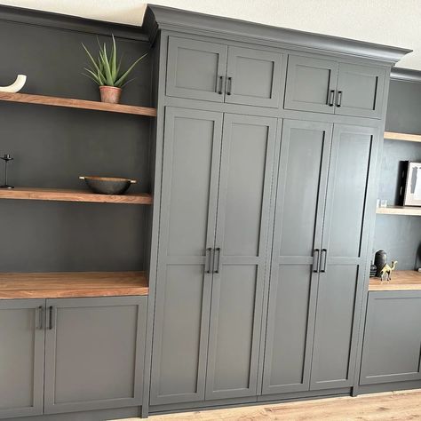 Wardrobe Bookshelf Combo, Custom Cabinets Bedroom, Murphy Bed Ideas Wall Units Built Ins, Murphy Double Bed, Murphy Bed And Office Combo, Guest Bedroom Murphy Bed, Built In Murphy Bed Office, Murphy Bed In Office, Murphy Bed Office Combo