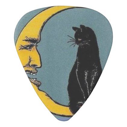 Concert Necessities, Guitar Pick Art, Moon Guitar, Pick Guitar, Guitar Plectrum, Cat On The Moon, Summer Phone Cases, Guitar Obsession, Free Tv Shows