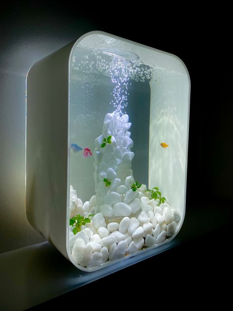 Fish Tank Minimalist, Biorb Fish Tank Ideas, Aesthetic Fish Tank Ideas, White Fish Tank, Biorb Fish Tank, Fish In Aquarium, Robo Fish, Cool Fish Tank Decorations, Cool Fish Tanks