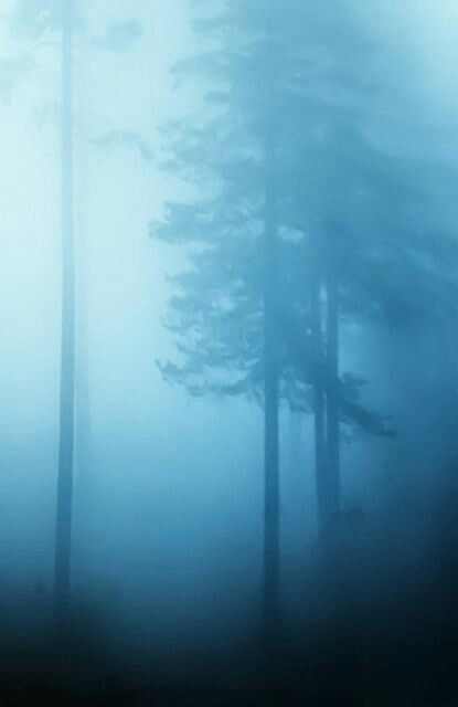 Blue Mist Aesthetic, Foggy Night, Blue Trees, Blue Fog, Misty Morning, Mystical Forest, Misty Forest, Blue Forest, Foggy Morning