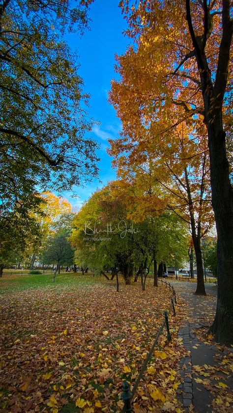 Krakow, Poland #nature #photography #autumn Poland Nature, Photography Autumn, Krakow Poland, Autumn 2022, Krakow, Future Life, Poland, Nature Photography, Country Roads