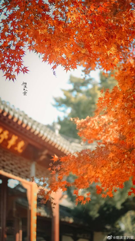 Ancient China Aesthetic, China Architecture, Chinese Aesthetic, Chinese Art Painting, Autumn Illustration, Nothing But Flowers, Japan Aesthetic, Pretty Photos, Kawaii Wallpaper