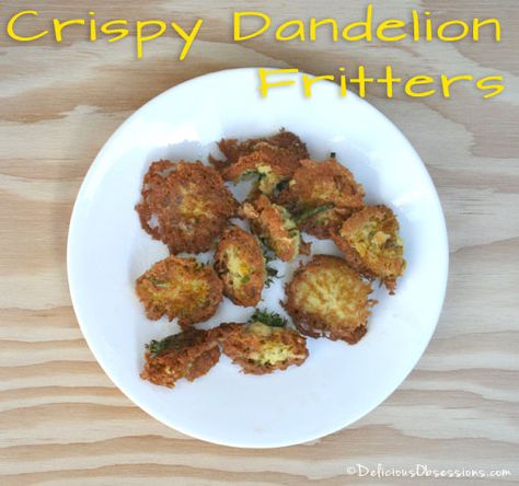 This Dandelion Flower Fritters Recipe is easy to make and a great way to get additional nutrients into your diet! Making these fritters is quick and simple. Dandelion Patties, Dandelion Fritters, Easy Dandelion Recipes, How To Cook Dandelion Greens, Recipes With Dandelion Greens, Roasted Dandelion Root, Sweet Potato Patties, Smoothie Recipes For Kids, Dandelion Recipes