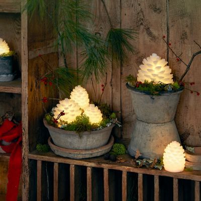 Home - Holiday - Shop All Holiday - Terrain Pop Up Decor, Pinecone Decor, Hanukkah Traditions, Winter Hygge, Winter Planters, Winter Witch, Christmas Outdoor Decor, Season Decorations, San Diego Home