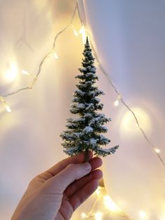 Christmas Tree Dyi, Winter Miniature, Mini Christmas Tree Diy, Homemade Christmas Tree, Cardboard Christmas Tree, Tiny Christmas Trees, Christmas Tree Forest, Miniature Christmas Tree, Christmas Diorama