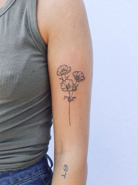 160+ Best Carnation Flower Tattoo Designs With Meanings (2021) 3 Poppy Flower Tattoo, Small Poppies Tattoo, Poppy’s Tattoo, 3 Poppies Tattoo, Posey Flower Tattoo, Prickly Poppy Tattoo, Poppy Flower Sleeve Tattoo, Three Poppy Flower Tattoo, Mexican Poppy Tattoo