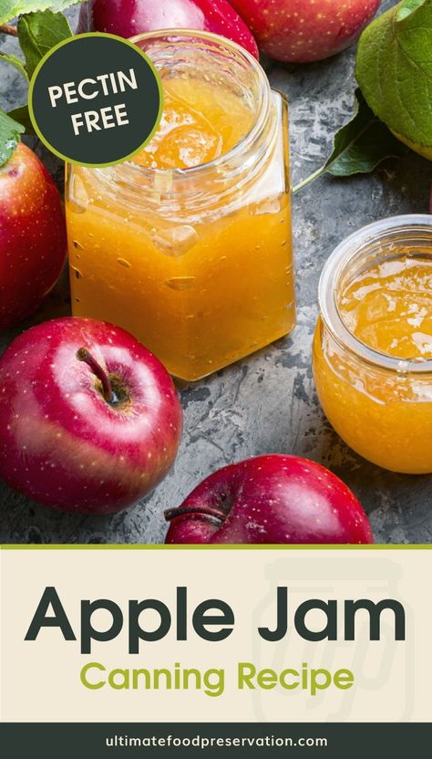 Want to learn how to make apple jam? Try this easy homemade apple jam recipe that's made without pectin. This fall recipe is a fun way to preserve apples and is a total pantry staple. This is also an easy canning recipe for beginners since it includes a step-by-step procedure on how to can jam at home. | More jam and jelly recipes at ultimatefoodpreservation.com #jamrecipes #homemadejam #howtomakejam #canningjam #veganrecipes #fallapplerecipes Apple Jam Without Pectin, Canning Recipes Jam, Canned Apple Jam, Apple Jam Canning Recipes, Canning Apple Jam, Canning Apple Jelly, How To Make Apple Jam, Homemade Apple Jam, Apple Recipes Canning