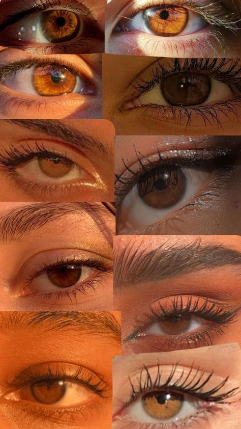 Whether you have a date, a special occasion, or simply looking for gorgeous eye makeup ideas to make you glow, make sure to have an eyeshadow palette that will help you achieve the look. When I got… Cognac Brown Eyes, Pretty Eyes Brown, Hazel Brown Eyes Aesthetic, Types Of Brown Eyes, Russet Brown Eyes, Chestnut Brown Eyes, Dark Amber Eyes, Gold Brown Eyes, Dark Brown Eyes Aesthetic