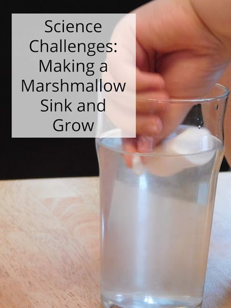 100 Day of Science #73 & 74-- Making a Marshmallow Sink & Grow Marshmallow Activities, Homemade Lava Lamp, Frozen Yogurt Pops, Homemade Frozen Yogurt, Coin Tricks, Earth Layers, Kitchen Science, Nature Studies, Yogurt Pops