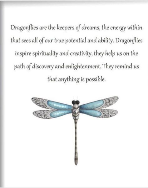 Dragonfly Meaning Spiritual, Dragonfly Meaning, Dragonfly Symbolism, Dragonfly Quotes, Dragonfly Artwork, Dragon Flys, Inspiring Nature, Dragonfly Tattoo Design, Glass Dragonfly