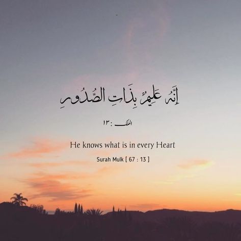 Surah Mulk Surah Al Munafiqun Quotes, Surah Mulk Wallpaper, Surah Mulk Quotes, Dreams In Islam, Achieving Dreams Quotes, Surah Al Mulk, Quotes For Dp, Coran Quotes, Smile Word