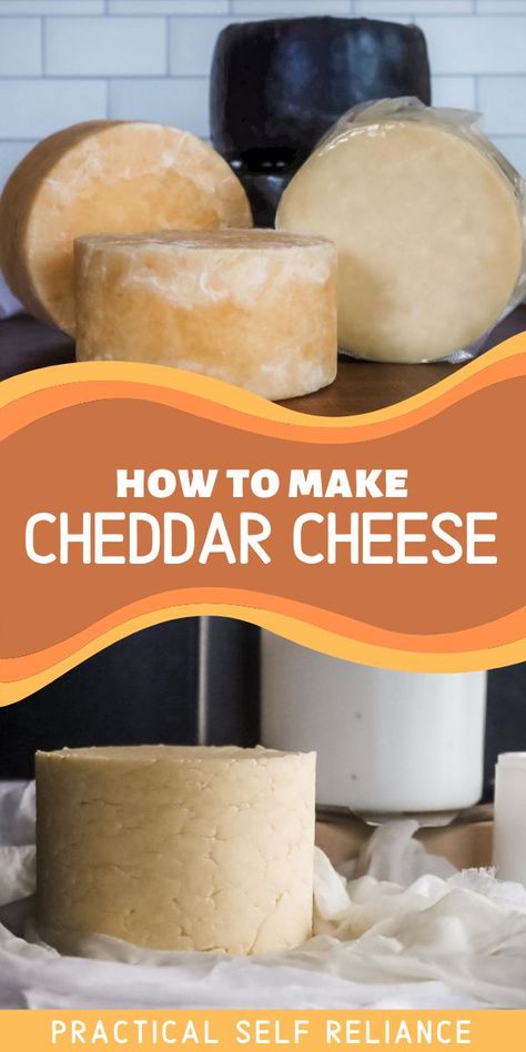 Homemade Cheddar Cheese, Making Cheese At Home, Cheese Recipes Homemade, Cheese Making Recipes, Diy Cheese, Easy Cheese Recipes, Homemade Pantry, Cheese Making, Easy Cheese