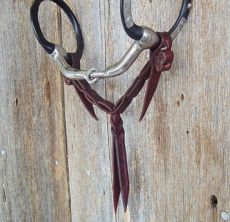 Vaquero Horsemanship, Western Bridles, Equestrian Helmet, Cowboy Gear, Snaffle Bit, Western Tack, Horse Equipment, Horse Gear, Western Riding