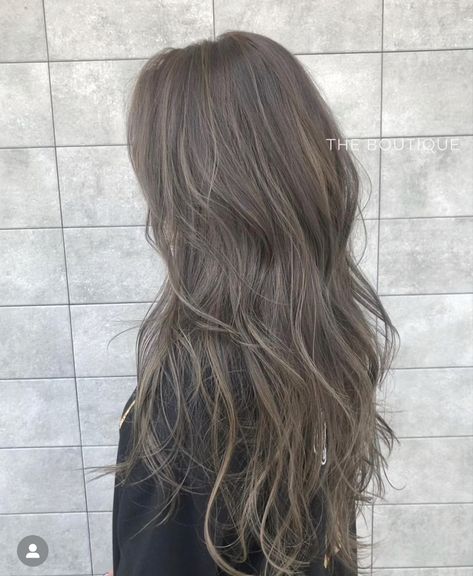 Ashy Brown Grey Hair, Purple Hair With Grey Highlights, Ash Gray Asian Hair, Ash Brown Light Hair, Mystic Ash Hair, Long Ashy Brown Hair, Ash Brown Hair With Dark Roots, Light Brown Silver Hair, Milk Tea Grey Brown Hair