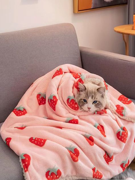 Pink Throw Blanket, Cute Bedding, Pink Throws, Cute Blankets, Cat Blanket, Warm Bed, Cat Bed Furniture, Strawberry Print, Cat Supplies