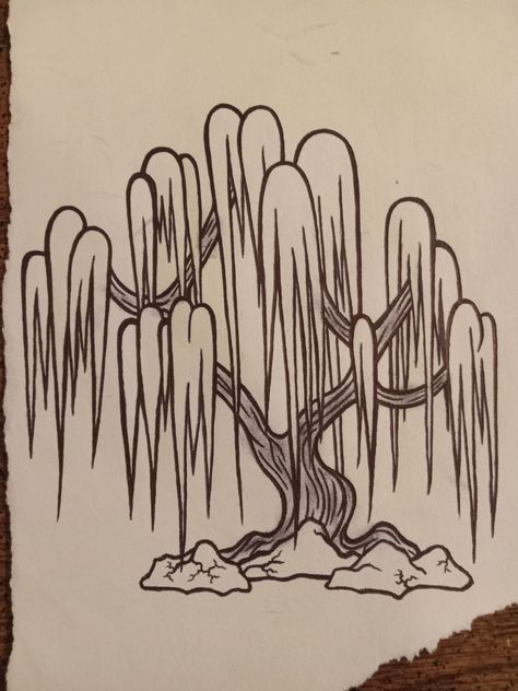 Easy Weeping Willow Drawing, Weeping Willow Tree Painting Acrylic, Willow Tree Drawing Step By Step, Weeping Willow Tree Drawing, Dark Painting, Flower Remedies, Inktober 2023, Tree Project, Bible Drawing