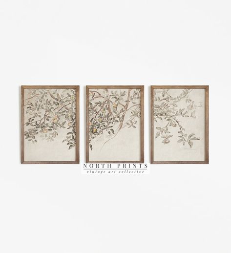 Apple Tree Sketch, French Art Prints, Vintage Gallery Wall, Tree Sketch, Vintage Gallery, Tree Sketches, Triptych Wall Art, Gallery Wall Art Set, Botanical Art Prints