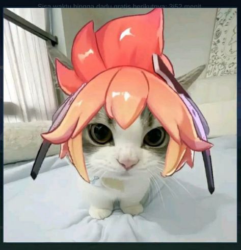 Mlbb Fanny, Fanny Mlbb, Girl Pfp, Cute Icons, Cute Cat, Anime, Quick Saves