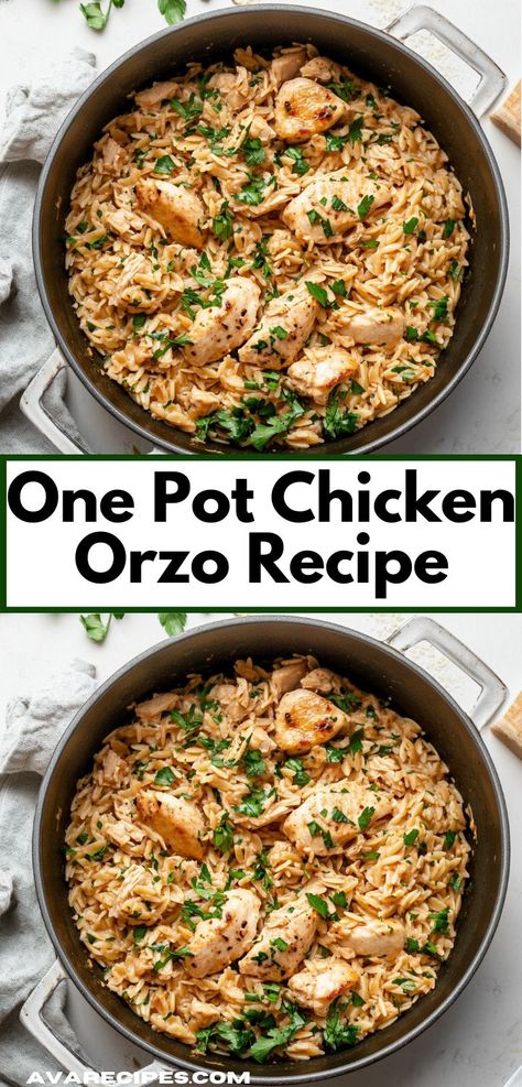 This One Pot Chicken Orzo Recipe features juicy chicken and creamy orzo, all cooked together in one pot. It’s a convenient and delicious option for family meals with minimal cleanup. One Pot Chicken Orzo, Orzo Recipes Healthy, Dinner Ideas For Parties, Orzo Recipes Side, Family Dinner Ideas Healthy, Creamy Orzo Pasta, Fresh Dinner Ideas, One Pot Orzo, Chicken And Orzo