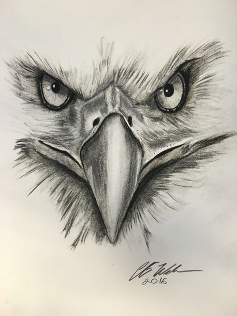 Eagle eyes Más Eagle Drawing, Men Tattoos, Eagle Tattoos, Eagle Art, Eagle Tattoo, 강아지 그림, Drawing Faces, Animal Drawing, Celtic Tattoos