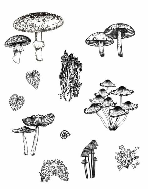 Funky Mushroom Tattoo, Ink Cap Mushroom Tattoo, Mushroom Doodle Art, Mushroom Line Drawing, Mushroom Tattoo, Cute Tats, Insect Tattoo, Mushroom Tattoos, Mushroom Drawing