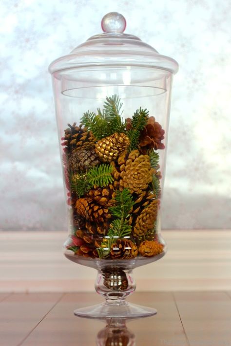 pinecone vase filler More Valentine Vase Filler Ideas, Winter Vase Filler Ideas, Clear Vase Filler Ideas, Pinecone Vase, Jar Filler Ideas, Winter Vase, Vase Filler Ideas, Tree Fillers, Sand Vase