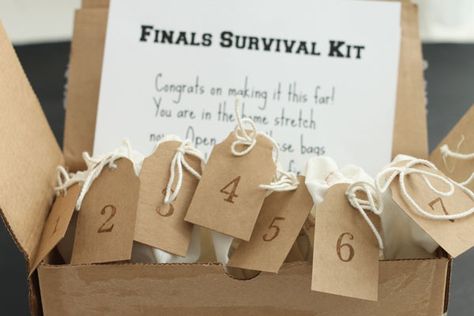 I love this gift idea, it is a perfect college care package for your student Finals Survival Kit, Finals Care Package, Care Package Decorating, Kids Care Package, College Survival Kit, Christmas Packages, College Finals, College Ready, Survival Kit Gifts