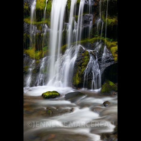 This is a larger than life waterfall named Panther Creek Falls on the Washington side of the Columbia River Gorge. It is an incredible waterfall that has so many intricacies that I could spend all day photographing and have! I’m always uplifted after being around water, but especially large waterfalls with their magical, healing mist cast all around. Largest Waterfall, Larger Than Life, Columbia River Gorge, Columbia River, Panther, Photographic Print, Columbia, Washington, The Incredibles