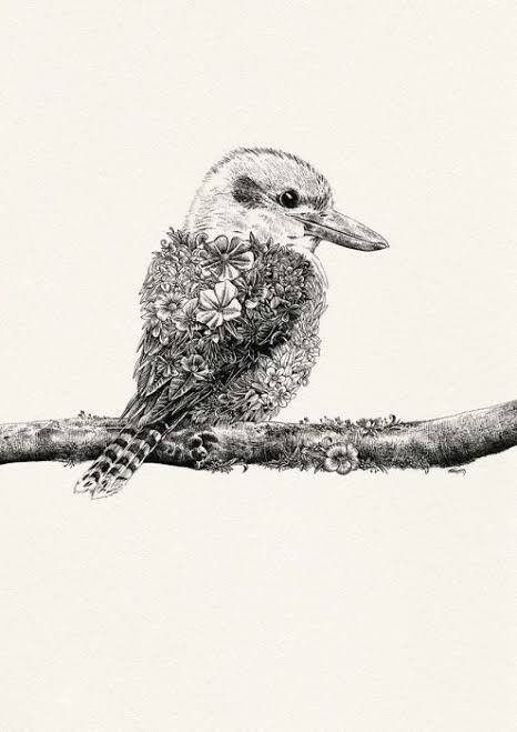 Kookaburra Australia Tattoo, Australian Tattoo, Mandala Inspiration, Native Tattoos, Australian Wildlife, Australian Birds, Bird Artwork, Australian Animals, Australian Art