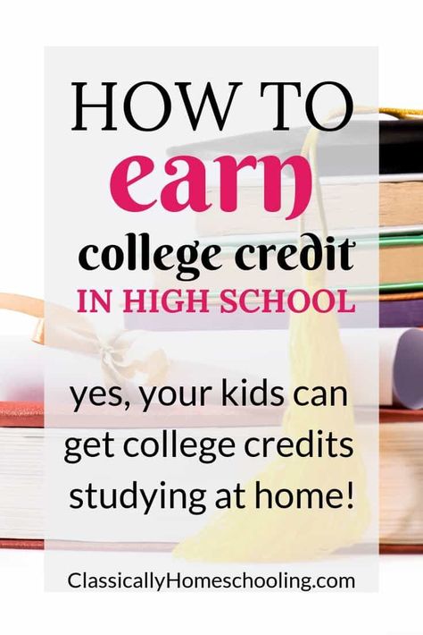 Homeschool Highschool, High School Electives, Homeschool High School Curriculum, College Expenses, High School Transcript, High School Curriculum, High School Kids, Homeschool Education, How To Start Homeschooling