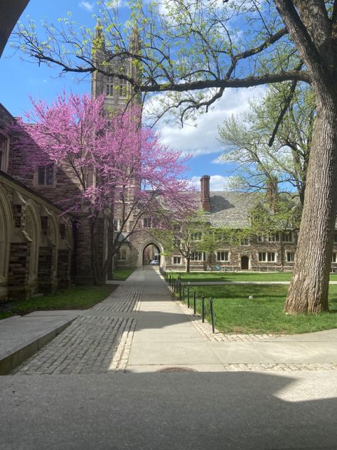 Princeton University Aesthetic Campus, Prinston University Aesthetic, Rich University Aesthetic, Prinston University, Pretty Universities, Princeton University Dorms, Princeton Aesthetic, Princeton University Aesthetic, Ivy University