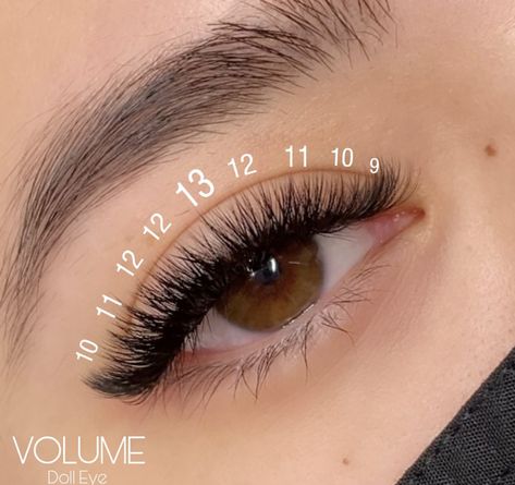 Simple Volume Lashes, Eyelash Extensions Styles For Small Eyes, Short Eyelash Extensions Mapping, Short Lash Extensions Styles, Kitten Eyelash Extensions Mapping, 2d Lash Extensions Cat Eye, Short Full Lash Extensions Map, Short Wispy Lash Extensions Mapping, Lash Mapping For Small Eyes