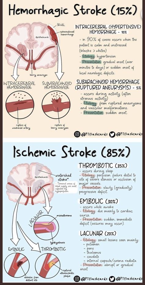 Neuro Nursing Notes, Nremt Study Guide Test Prep, Neuroanatomy Notes, Nurse Practitioner Notes, Ischemic Strokes, Neurology Notes, Neurosurgery Study, Medicine Anatomy, Neurology Nursing