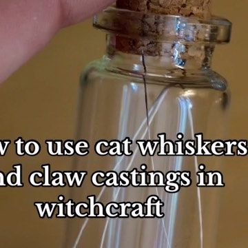 Ali🔮 on Instagram: "Drop your 🐱’s name and how they help you in your spiritual routine!🐈‍⬛ Some additional uses: Whiskers are considered good luck and can be carried for luck or used in abundance spells. You can also use them in a protection jar for your cat if they’re indoor/outdoor or in binding spells to bring you closer Castings can be used to ‘dig your claws’ into someone in love or baneful magick. They can also help in transformation workings or to assist in letting something go Baby te Cats Claw Spiritual, Cat Claws In Witchcraft, How To Be A Cat, Spells With Cat Whiskers, Cat Whiskers Witchcraft, Spells For Luck, Cat Witchcraft, Baneful Magick, Abundance Spells