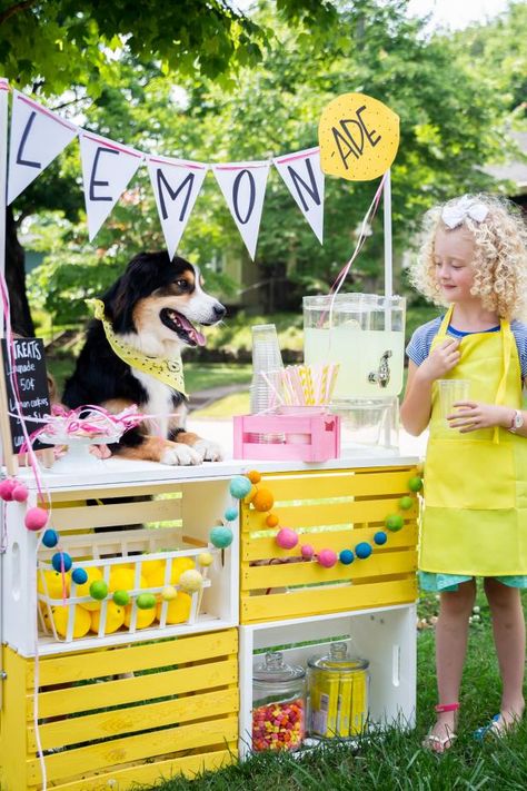 DIY Lemonade Stand Portable Lemonade Stand, Diy Slip And Slide, Lemonade Stand For Kids, How To Paint Wooden Crates, Diy Lemonade Stand, Farm Room, Diy Lemonade, Tent Stakes, Diy Xmas Gifts