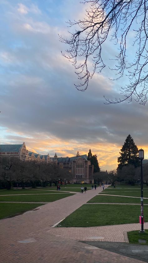 Tommen College Aesthetic, College Asethic, College Asthetics Photos, University Of Washington Aesthetic, Mit University Aesthetic, University Aesthetic Campus, Aesthetic College Life, University Campus Aesthetic, Tommen College