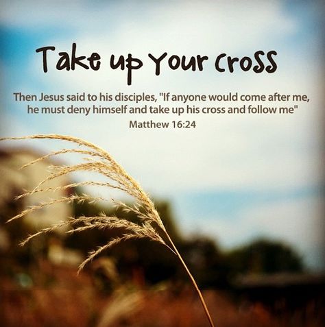 Take up your cross Pick Up Your Cross, Take Up Your Cross, Psalm 34 4, Start Day, Book Of Matthew, Matthew 16, Jesus Said, Daily Prayers, God Jesus