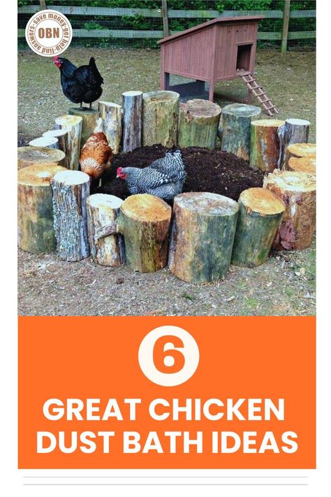 Diy Chicken Dust Bath, Homesteading Urban, Diy Dust Bath, Chicken Dust Bath Ideas, Chicken Dust Bath, Dust Bath For Chickens, Planting Seed, Types Of Chickens, Veggie Gardens