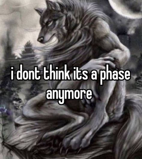 You Sink Into My Clothes Wolf, Alpha Wolves Meme, Alpha Wolf Funny, Alpha Wolf Memes Hilarious, Wolf Memes Funny, Alpha Wolf Pictures, Alpha Quote, Wolf Meme, Alpha Werewolf