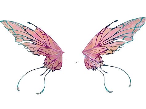 Fairy Wings Butterfly, Wing Shapes Fairy, Dragon Fairy Wings, Faerie Wing Tattoo, Full Back Fairy Wing Tattoo, Fae Wings Drawing, Fair Wings Tattoo, Winx Wings Tattoo, Fairy Wings Reference