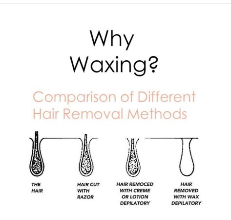 Waxing Post Ideas, Small Waxing Room Ideas, Waxing Education, Waxing Content, Waxing Specialist, Wax Suite, Waxing Aesthetic, Waxing Memes, Esthetician Career