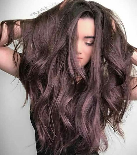 Gorgeous smoky plum hair Dark Chocolate Brown Hair, Hair Winter, Rambut Brunette, Brown Ombre Hair, Brown Hair Color, Chocolate Brown Hair, Lilac Hair, Balayage Blonde, Hair Color Purple