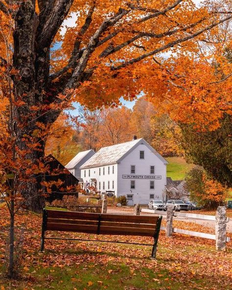 Jack | Boston & New England on Instagram: "Take a seat and have some cheese! I can’t resist spending time at the Calvin Coolidge site during the fall. This is just a beautiful spot in Plymouth, Vermont that feels like a step back in time. The buildings are all well preserved and there is a lot of land to walk around, you can have a picnic lunch on the nearby benches and tables and endless photo options. And of course, @plymouthcheesevt which is definitely a fall muse for me. Shot last week Vermont Photography, Vermont Fall, Days Until Halloween, New England Travel, New England Fall, Autumn Magic, Autumn Scenes, Autumn Scenery, Autumn Beauty