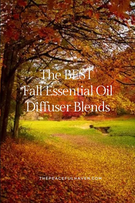 This week I have been testing as many of the Fall diffuser blends as I could find.  My family has had to endure a lot of exciting scents.  I started off the process searching for the perfect Pumpkin Spice diffuser blend.  Doesn’t that sound amazing?  Well, I was so disappointed to realize that you really can’t make the pumpkin spice scent without the coffee or pumpkin smell.  Nope, I can’t do it!  The good news is that I was able to come up with the very BEST Fall Essential Oil Diffuser Blends! November Diffuser Blends, Fall Essential Oil Diffuser Blends, Pumpkin Spice Scent, Fall Essential Oils, Fall Diffuser Blends, Coffee Smell, Diffuser Blend, Simpler Lifestyle, Essential Oil Diffuser Blends