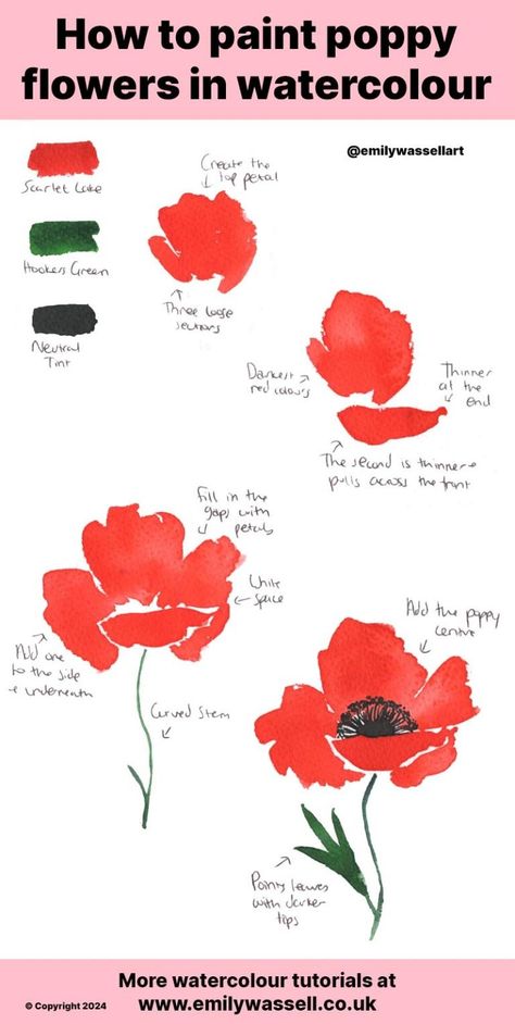 Tutorial: How to paint a red poppy in watercolour - Emily Wassell Watercolour Poppy Tutorial, How To Paint A Poppy, Painting Poppies Acrylic, Watercolor Poppy Flower, Loose Watercolor Florals, Acrylic Poppy Painting, Watercolour Poppies, Poppy Watercolor Painting, Red Poppies Painting